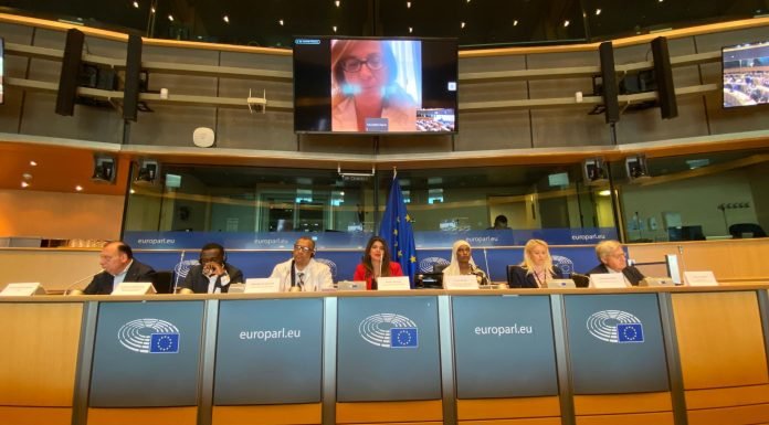 PACE E SICUREZZA IN SUDAN: LA CONFERENZA PE AFFRONTA LA CRISI UMANITARIA Event Soudan European Parliament