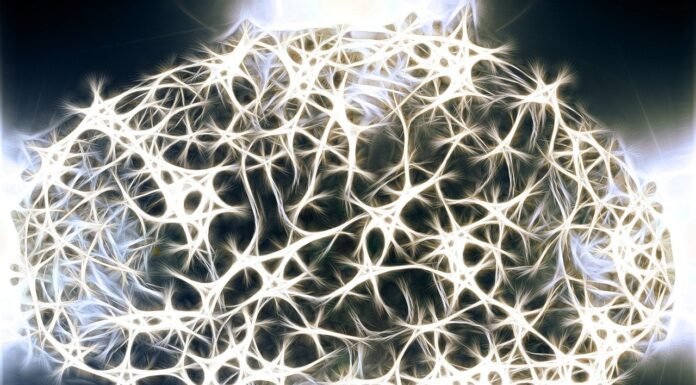 Cinque modi in cui le microplastiche possono danneggiare il cervello