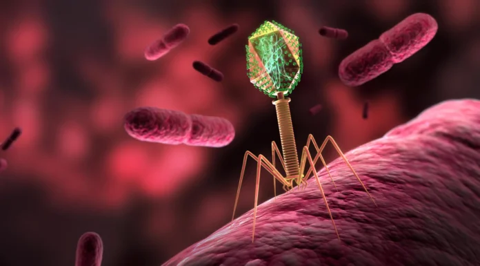 Gli scienziati hanno inviato virus nello spazio e questi si sono evoluti in modi sorprendenti