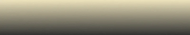 spot_img