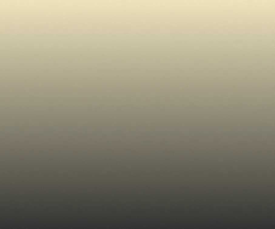 spot_img