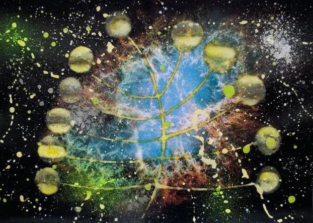 Arte, progetto 'Irae' di Yourban 2030 arriva a New York, tra sostenibilità e visione globale
