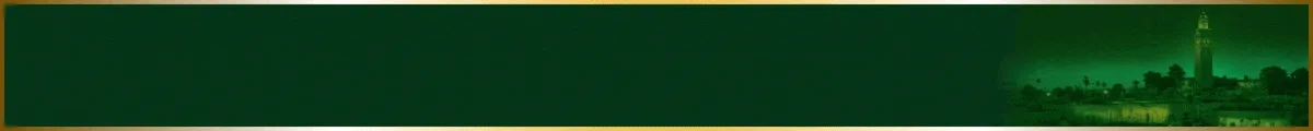 spot_img