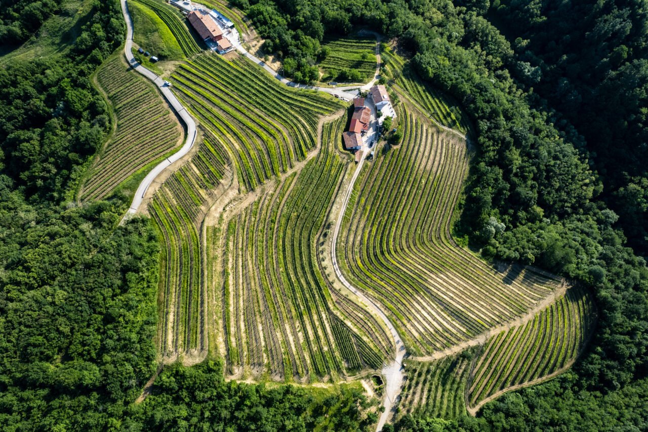 Due cantine per capire il Collio
