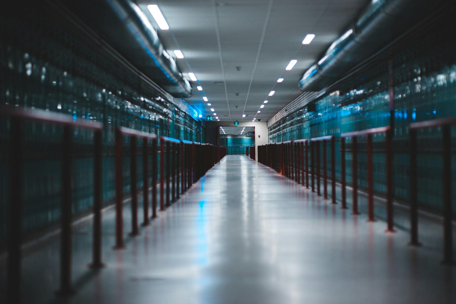Infrastrutture digitali, sette proposte di Anitec-Assinform per una strategia nazionale