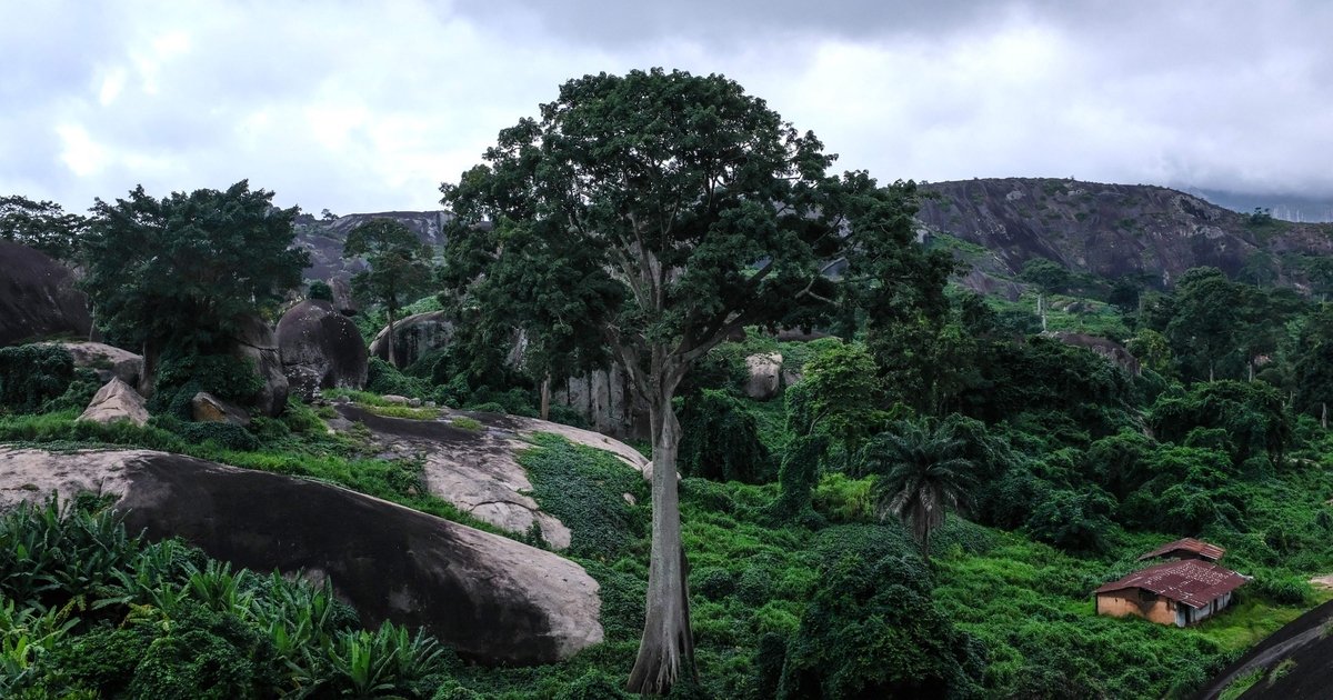 Le donne nigeriane che stanno salvando il Santuario della fauna selvatica del Monte Afi Le donne nigeriane che stanno salvando il Santuario della fauna selvatica del Monte Afi