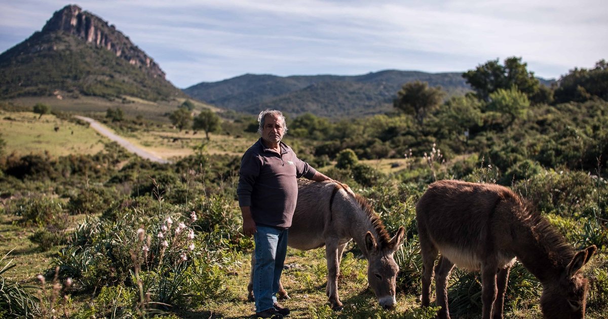 Ogliastra, viaggio nel dietro le quinte di un docufilm che racconta la formula segreta della longevità.